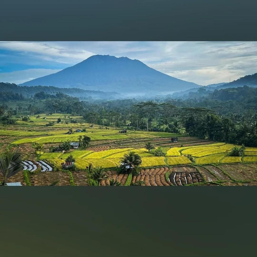 Lumbung Ayu Sari And Spa Sidemen  Kültér fotó